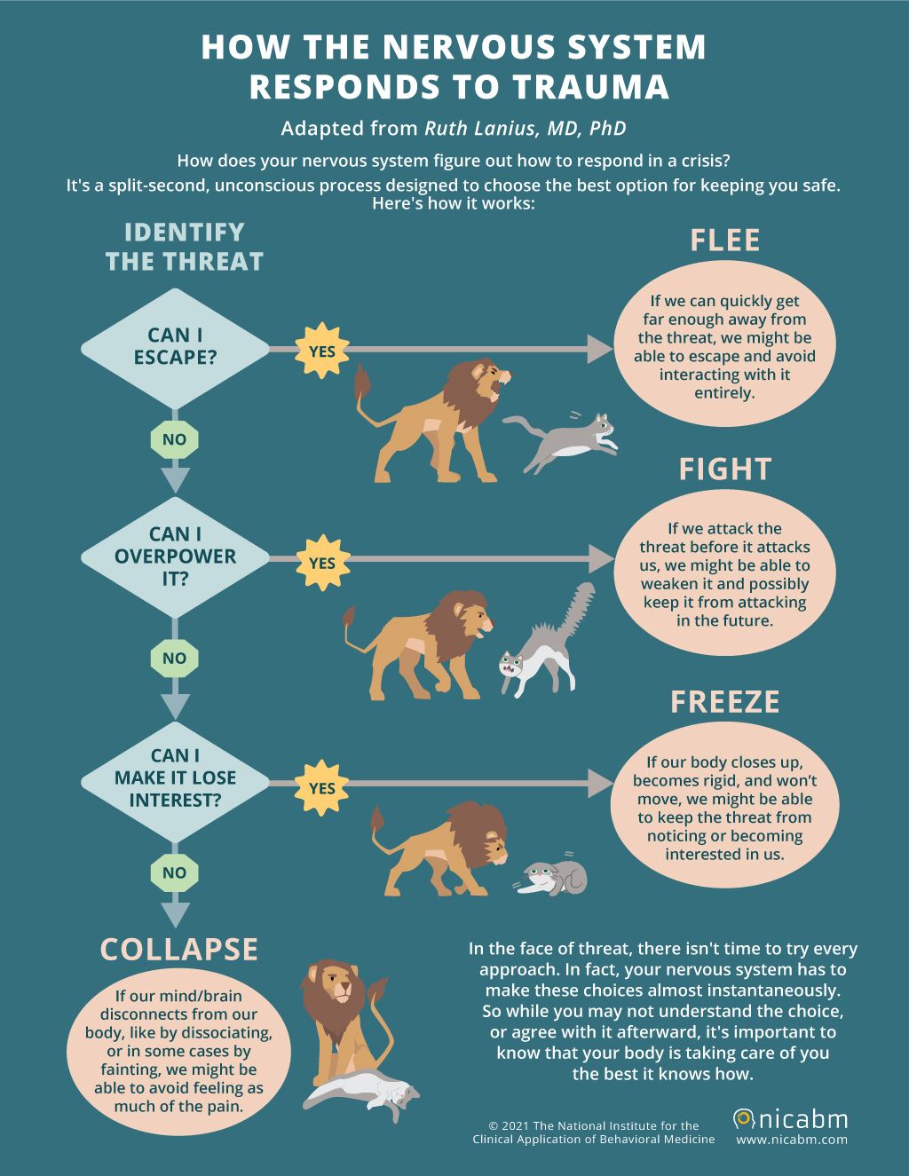 Effects of trauma on the body poster